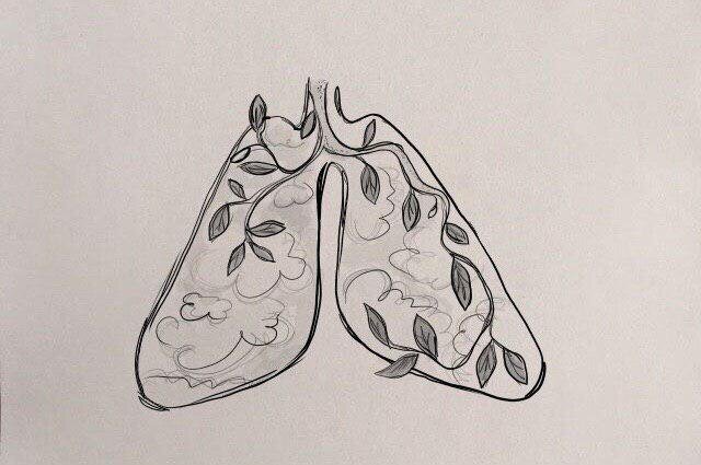 Мы ухаживаем за цветами на подоконнике. Но как насчет легких?