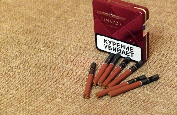 Самые дорогие сигареты за 250 рублей с трубочным табаком: их курит ...