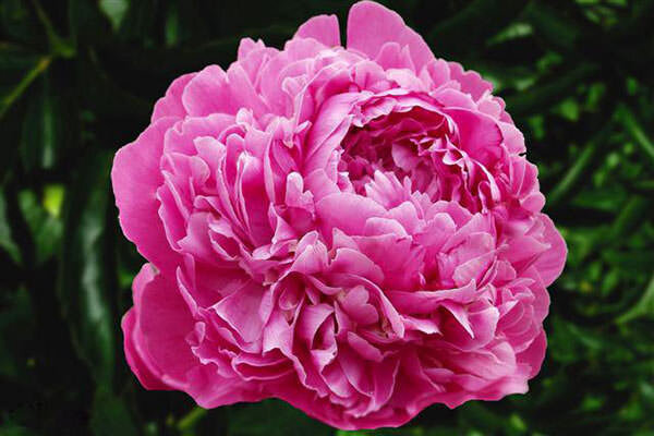 К сложной натуре нужен аккуратный подход.