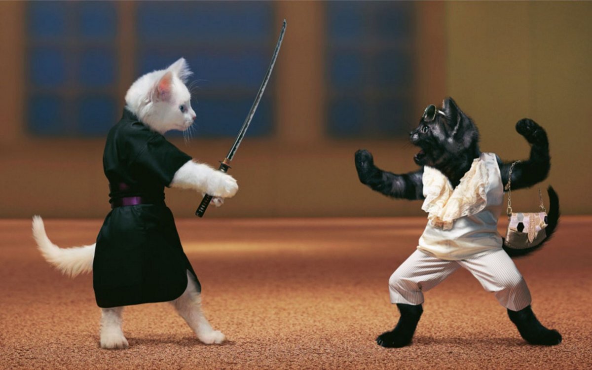 Смешная картинка взята с сайта хохо.ru. Символизирует противостояние Алгоритма  Дзена и авторов.))