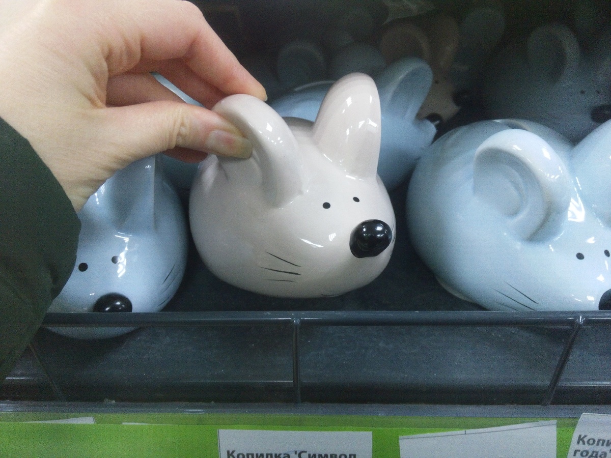 Крыска в подарок 