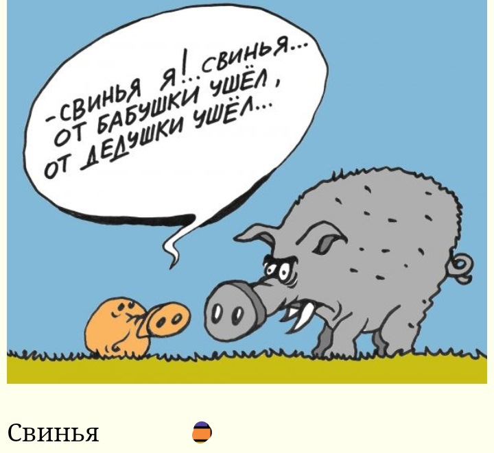 Свиньи пословицы. Свинья карикатура. Анекдоты про поросят. Шутки про свиней. Поросенок карикатура.