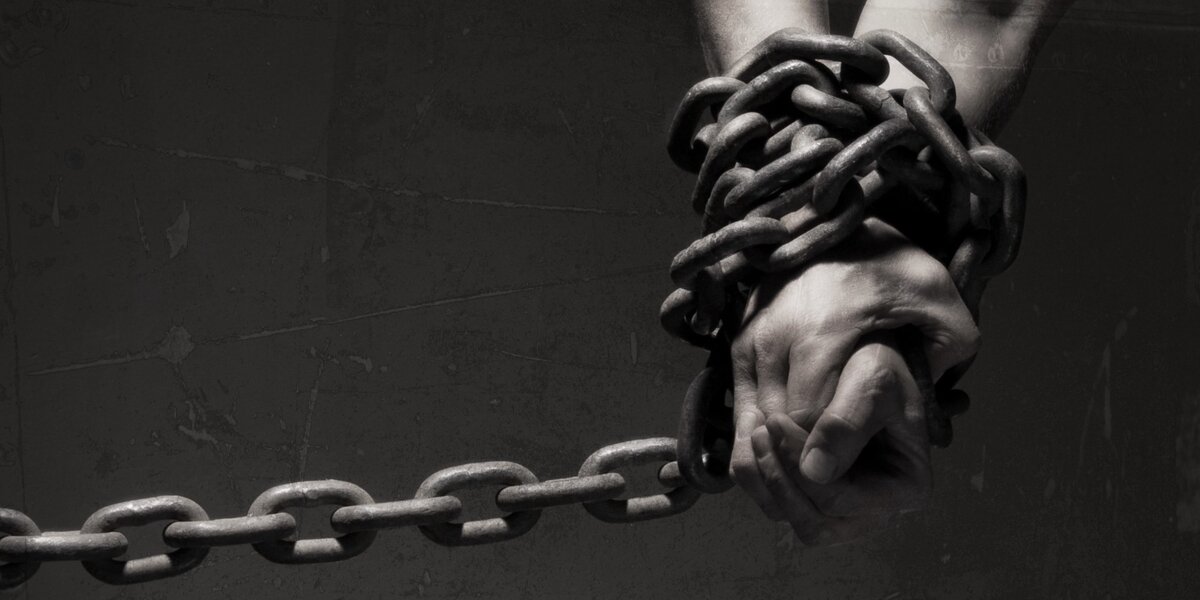 свободный источник