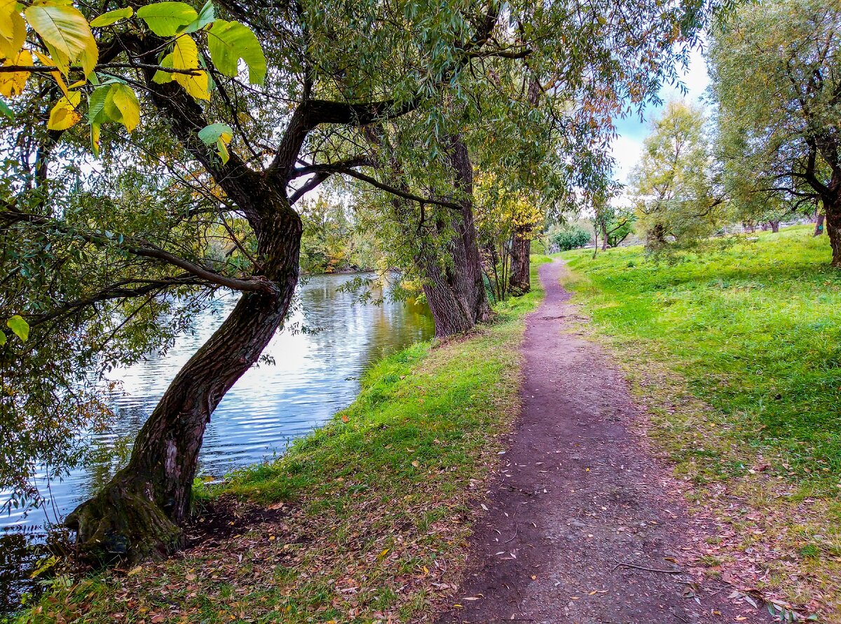 любимая скамейка толстого в ясной поляне