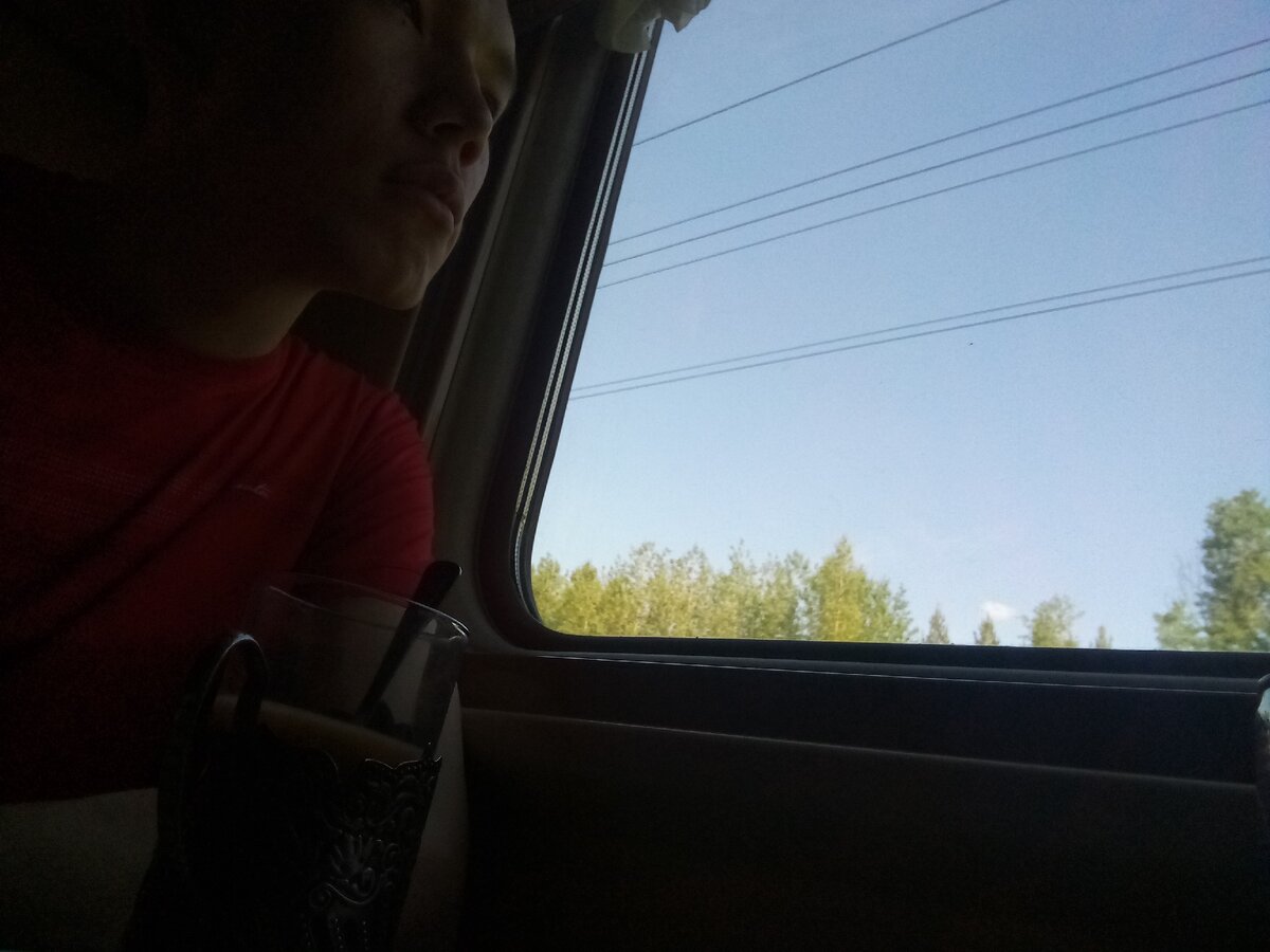 Поезд Новый Уренгой - Москва 