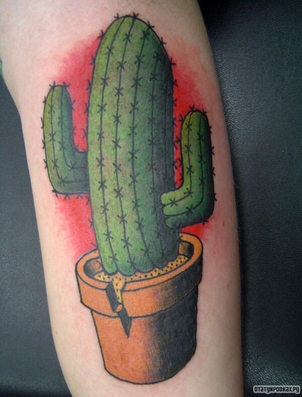 Cactus tattoo