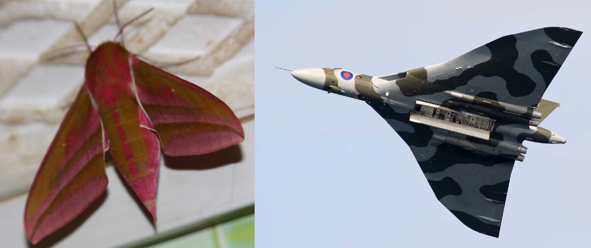 Случайное совпадение или наглое копирование