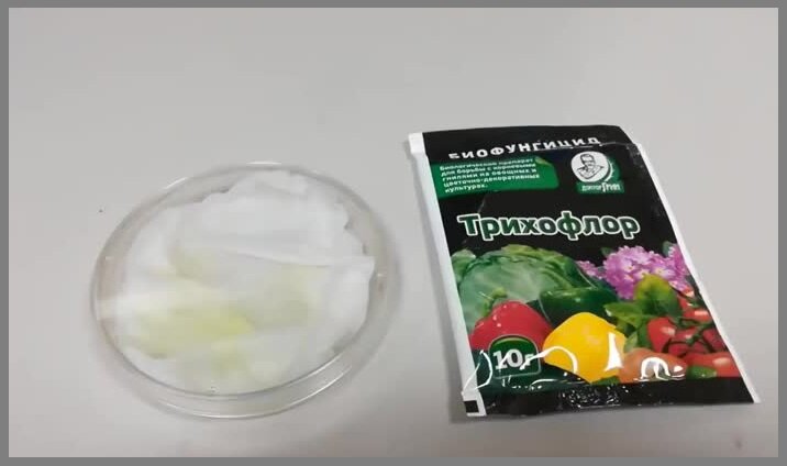 Трихофлор - биологический фунгицид