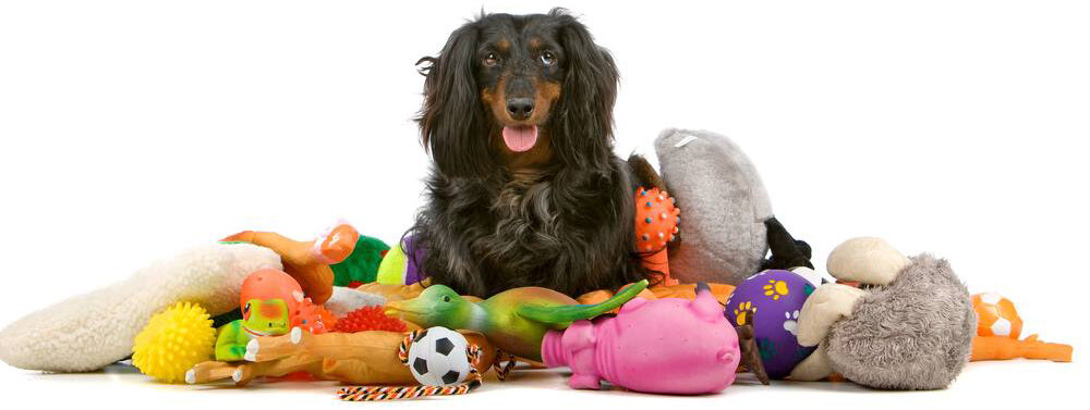 Для счастливой жизни хвостатому другу нужно много игрушек
