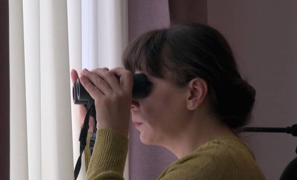 Изображение взято с ресурса Яндекс картинки