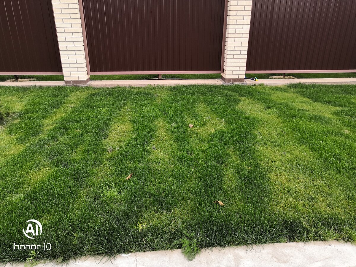 Почапская Мария