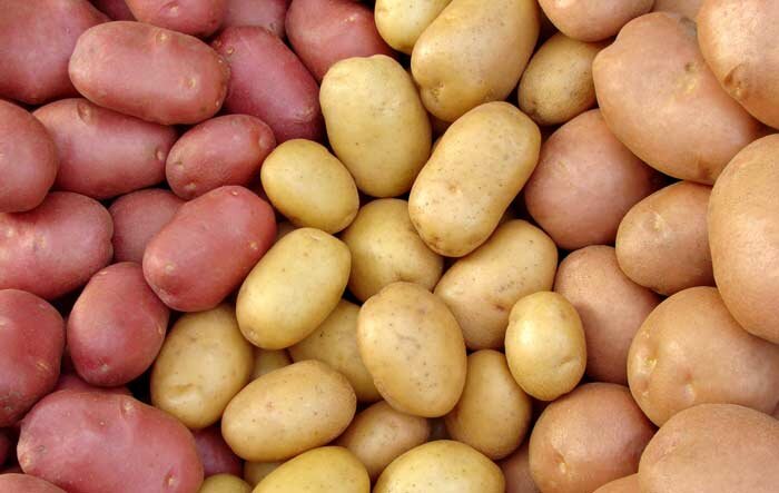 Семенной картофель.