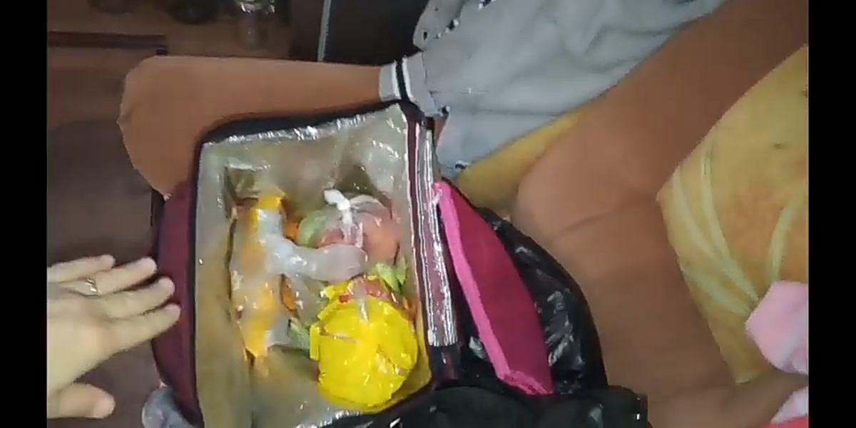 Фото из личного архива. Скриншот с видео. Сборы в поездку