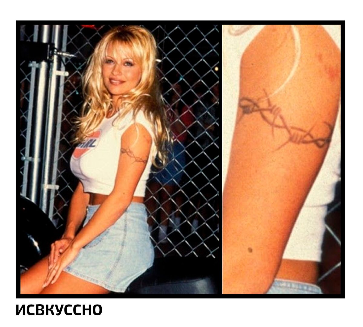 Памела Андерсон и колючая проволока