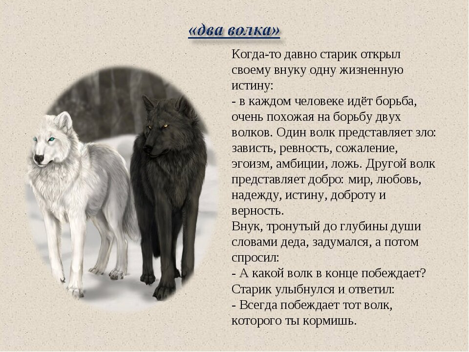 Не забывайте волкова текст. Белый и черный волк притча. Притча про 2 Волков. Притча о волках.