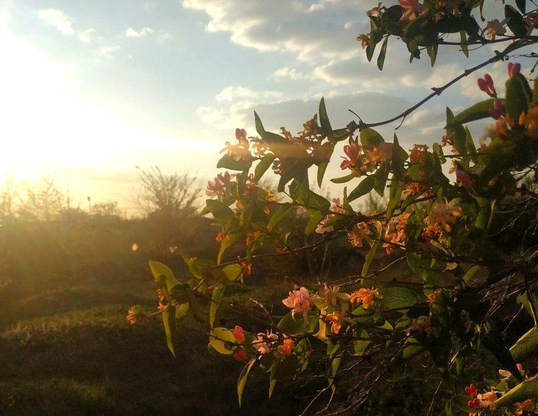 Автор фото Даша соседка