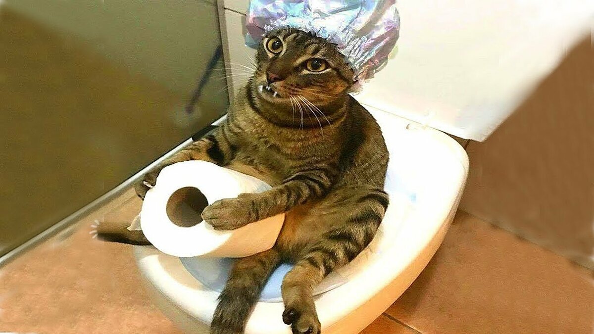 Из интернета.