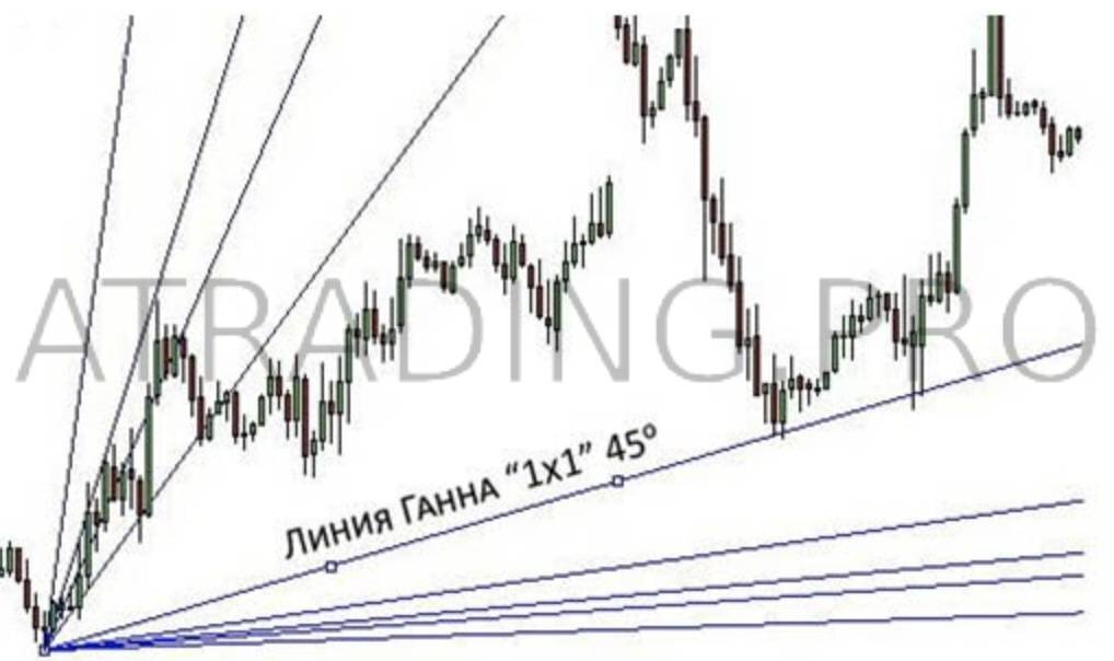 Найти ганну. Квадрат ганна. Найти ганну. Графики ганна. Как правильно построить сетку ганна.