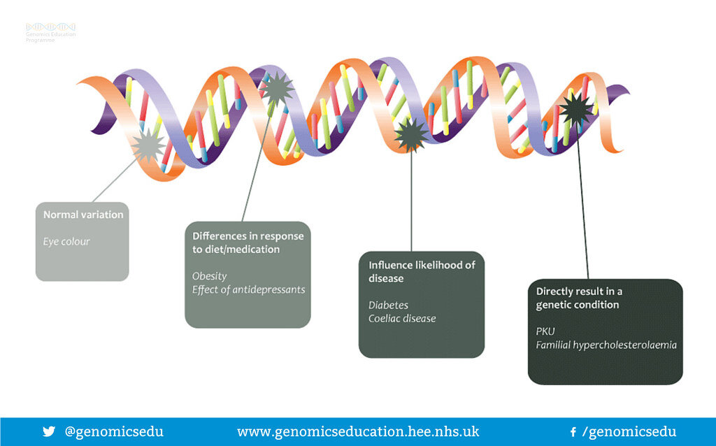  Flickr  Changes in the genome 