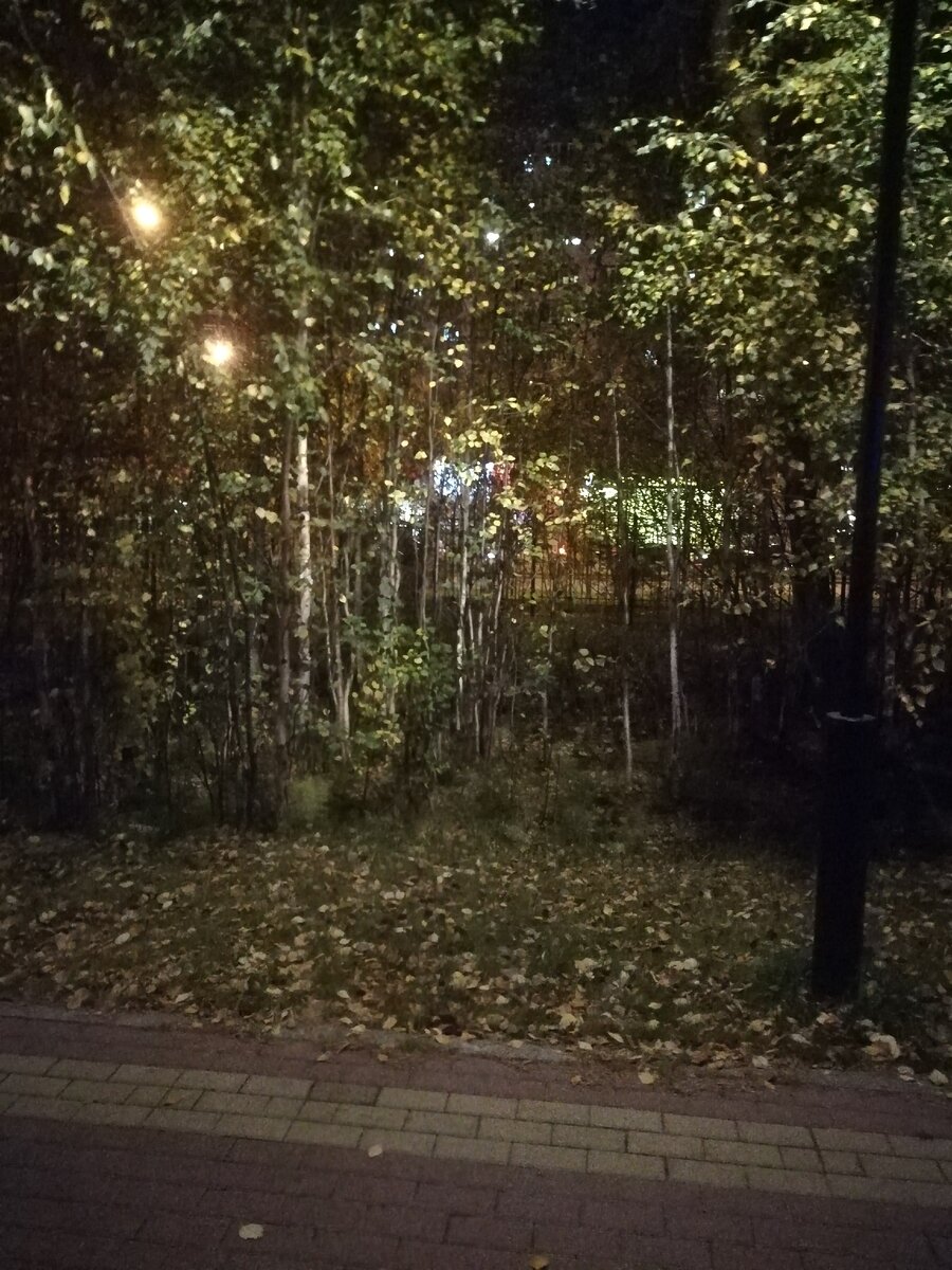 Прогулка по вечернему парку.