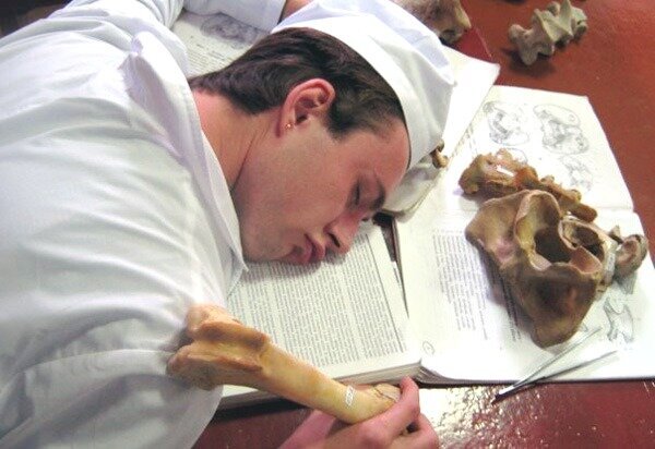 Ну что, блядь, доброго вечерочку. Пишет студентишка-медбрат со скорой помощи. Добро пожаловать в пучину ненависти и баттхерта к подавляющей части населения, а именно — к долбоебам. Работаю чуть меньше года, но проф.деформация не заставила себя долго ждать. Редко, когда я испытываю сочувствие к пациентам, в основном к детям и к адекватным людям, вторых очень мало, но таким радуешься всей душой. Спросишь, если все так плохо, хули я работаю, я отвечу пошел нахуй, скажешь, что я «знал, куда шел», я отвечу что ты хер, и вообще хуле ты мне сделаешь я в другмо городе. Ну вот, очередные сутки, первый вызовок. 31 год, Ж, высокое АД. Такс таакс, высокое давление в тридцать лет, сразу понятно, что какая то ебаная истеричка страдает хуйней, хммм. Поехали. С порога встречает молодая худая девка, которую больной ну никак не назовешь. С порога заявляет, что фельдшеру надо связаться с ее психотерапевтом, чтобы он ЛУЧШЕ ОБЪЯСНИЛ, что же с этой пиздой такое происходит. Бля ну ок, фельдшер берет трубку, на другом конце частный психотерапоид задает вопросы типа «а вы врач или фельдшер, а вы на какой бригаде?» Тебя это ебет что ли? Короче выяснилось, что у пизды панические атаки, и ради этого надо было звонить, мда. Случай тяжелый. Измерил давление, чуть выше нормального, окей. Дали таблетку под язык, сообщили ей, что надо снять пленку экг и для этого нужно освободить грудную клетку, та давай ерзать, мол, чем прикрыть, или, мб, надо бюстгальтер. Переживала, что мы ее доску увидим. ЭКГ в норме. Пока она рассасывала таблетку, мы слушали рассказ о том как ей страшно, как плохо, сердечко стучит. Диагноз банальный: нейроциркуляторная дистония, распространен сплошь и рядом, гугли, лечится у терапевта или кардиолога, но только потом у психов. Квартирка обставлена довольно солидно, опять же подтверждает мою теорию, что человек с жиру бесится. А она все жует и жует сопли. Надо сказать, что мы вели себя очень вежливо и снисходительно. Я начал ей объяснять что СКОРАЯ не лечит чувство тревоги и страха, мы купируем сердечные приступы, гипертонические кризы, возим инсультников, переломанных, порезанных людей, сбиваем детям температуру. Помогаем людям не сдохнуть, вот для чего мы нужны, а не для того, чтобы вытирать сопли карамельным жопам. Перемерили давление — снизилось до ее привычного. И тут она выдает коронную фразу: «Но тревога то не ушла!!11» То есть эта пися так ничего и не поняла, и вряд ли когда поймет. Взяли подписи, уехали.
71 год, М, острая задержка мочи. Дед не может пописать. Это уже серьезно. Приезжаем, дед ходит скрюченный, не может ни выпямиться, ни лечь, ни поссать в конце концов. Дома с ним жена и соседка, рассказали, что работали они на севере, где то в Охотском районе, где медицины нет от слова вообще. У деда аденома простаты, с ней он к врачу не ходил, но принимает простамол, уже неплохо. Давление так же скачет. Потрогал низ живота — очень напряженный мочевой пузырь. Дедуля еще арбуза поел, чаю попил, короче жесть. Ничего не остается, как выводить мочу катетером. Если ты сдавал мазок на гонорею, то помнишь то волшебное чувство, тут же надо запихать трубку до самой полости пузыря. Ощущение, наверняка, ужасное. Головка члена оттягивается, сдавливается, чтобы раскрыть уретру, и в нее вводится смазанная растительным маслом трубочка. Как только она дошла до пункта назначения, из нее брызула капля крови и полилася малаф... не, моча, в заранее подготовленный горшок. Количество мочи огромное, больше литра, после опорожнения деду стало полегче. Увезли в урологию, чтобы все таки вылечили, мы лишь убрали симптом. А я потрогал деда за писю.
80 лет, М, инфаркт миокарда. Вызов поступил прямо с приема у врача в поликлинике. Приехали, а они даже для нас пленку ЭКГ не сделали, ну спасибо блядь, пришлось в машине раздевать деда и делать, вручили таблетки по стандартам (зилт, аспирин) и нитроглицерин. По рассказам деда ему вчера стало плохо, он упал, болело плечо, хотел вообще в травмпункт идти и врачиха виновата, что не вылечила ему гайморит, поэтому сердце шалит. Доставили в инфарктное.
На обед выделили минут двадцать. После вызов опять с задержкой мочи, 79 лет, М. Заходим в хату, а там просто пиздос. Выставка тропических мух. Дед абсолютно неопрятный, вонь стоит, глухой чуть менее, чем полностью, облепленный мухамм, с ним сестра, вчера приехала, а так дед один. Душно, но окно не открывает, ПРОДУЕТ. Если в предыдущий раз дело было плевое, то в этот раз мы имеем дело с цистостомой. Это трубка, вставленная в мочевой пузырь через отверстие в передней брюшной стенке. В поликлинике деда отфутболили, не понятно почему, правда, и сказали скорую вызывать, а мы такой хуйней не занимаемся, это хобби урологов. Я бы мог, конечно, поменять трубку, но не стал, фельдшер тоже. В катетере стояла мутная кровавая моча, значит, пузырь воспален, и его наверняка нужно промывать антисептиком и назначать антибиотики. В песду, отвезли в урологию. А дед довольно мерзкий характером, орет как резаный, всех родственников послал нахуй и живет как трЪ битард один и в какахах.
Общественное место, Ж, без сознания. Пока ехали, нас тормознули на остановке, где лежал пьяный уебок, тот вызов передали, а мы остались с этим алкашом. Куча зевак вокруг, все переживают за ЧИЛАВЕКА, рядом пакет с допитым бухлом. Все понятно, хуярил, пока не упал, даже нашатырный спирт не помог выдавить из него хоть словечко. Под белы рученьки да на каталочку, и в машину. Какой то чурка говорил, чтобы мы его водку с собой взяли, ну похмелиться человеку! Похмелиться в больнице, не долбоеб ли? Немного отъехали, начали измерять АД, сахар, пытались разбудить аммиаком, но чувак только смотрел в потолок и морщился. Мимо проходила бабка и давай умничать, типа че мы стоим, человеку ПЛОХА, а мы языком чешем, на что ведьме было сделано предложение забрать синяка к себе домой и лечить, как вздумается, или пойти нахуй. Повезли в токсикологию, ну а хуле еще с ним было делать. В пространстве и времени не ориентирован, не ходит, значит, дурка отпадает. Видимых повреждений на голове нет, значит, сегодня без нейрохирургии, дружок. Возле больницы остановились, чтобы снять кардиограмму, потому что положено. Кое как сняли, ибо тело проявляло физическую активность и срывало электроды. Ну да ладно, притащили в токсу, а там начали спрашивать, мол, где бутылка, про которую вы говорите, иначе как вы поняли, что он пьяный (по запаху не канает). На ходу сочинили сказку, что там был его собутыльник, он то пузырь и забрал, лол. Пронесло, а то повезли бы к неврологам, а это опять через весь город переть.