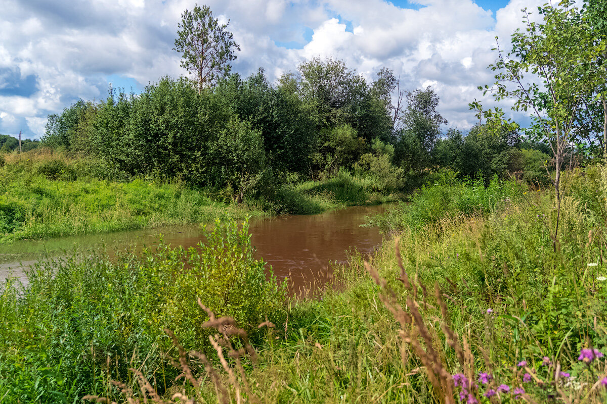 Фото павино костромской области