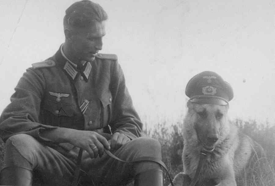 История о том, как фашисты делали из собак настоящих монстров