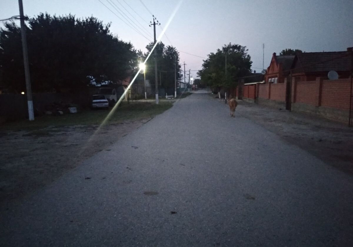 Улица в станице Гребенской на утреннем рассвете.