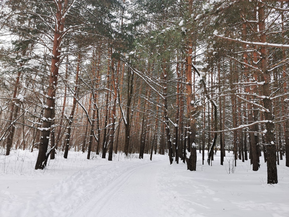 Декорации зимы