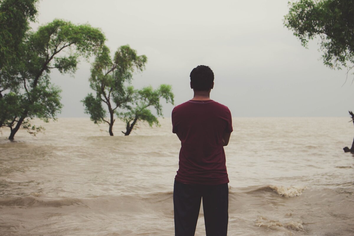 Взято с открытого источника: https://pixabay.com/