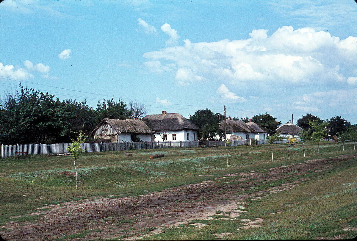 Украинское село, конец 60-х.