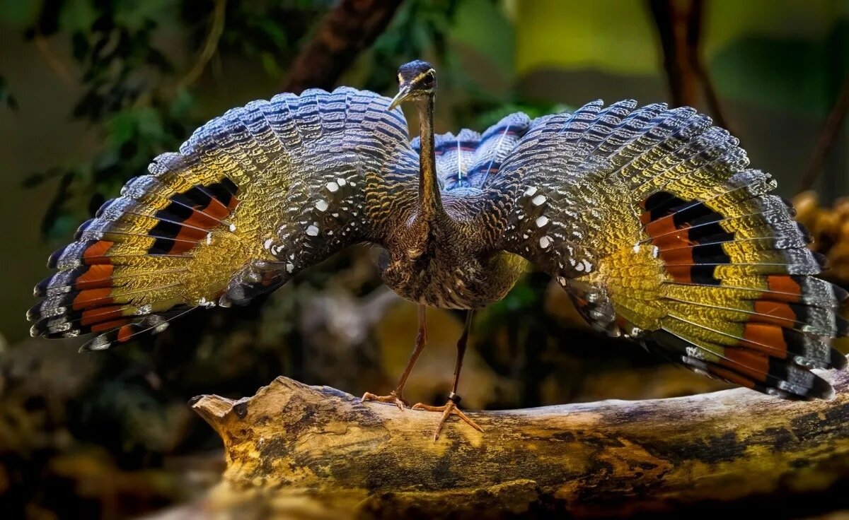 Смотри мне в глаза!