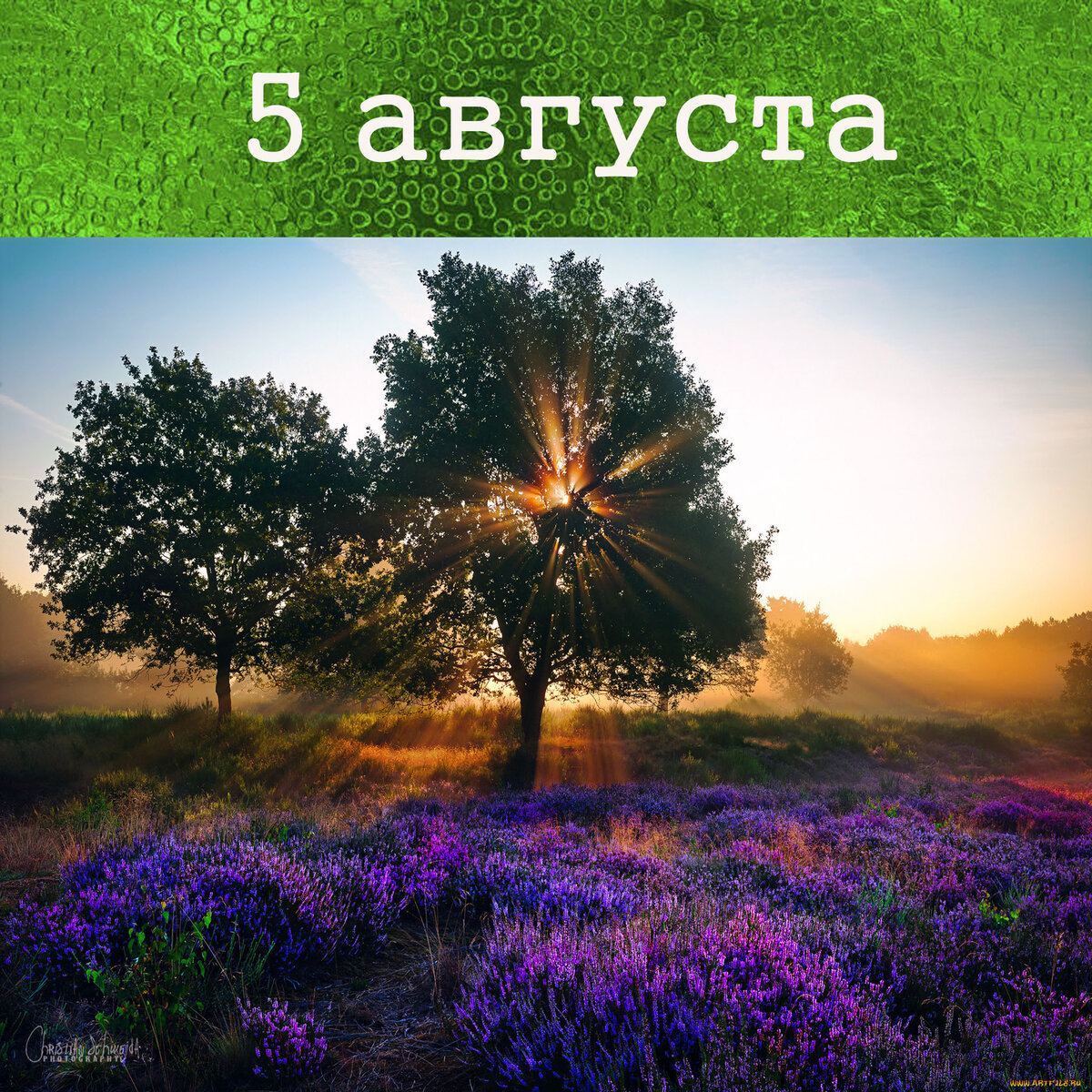 26 лунный день картинки
