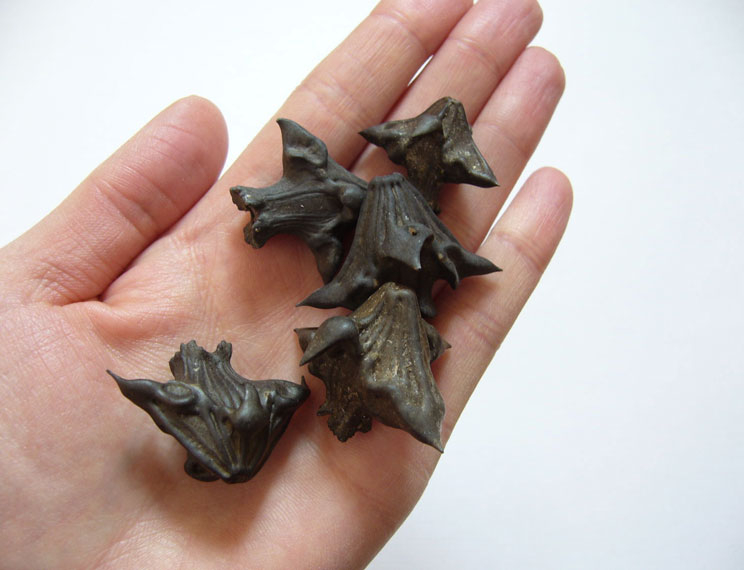 фото из Яндекс-картинки в свободном доступе