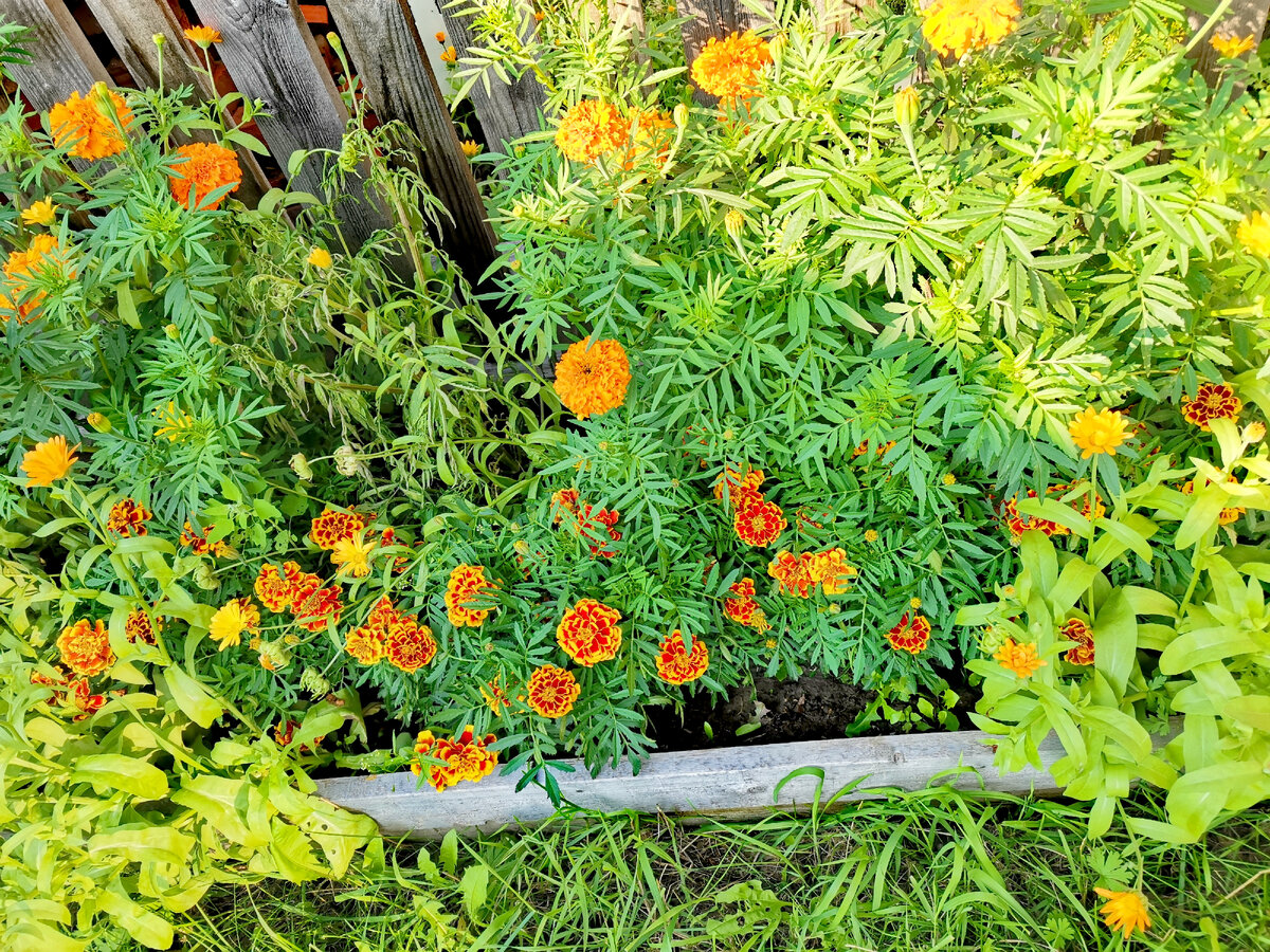 Красота) Фото автора.