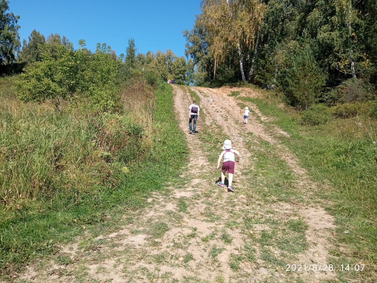 Трое детей, которых я родила
