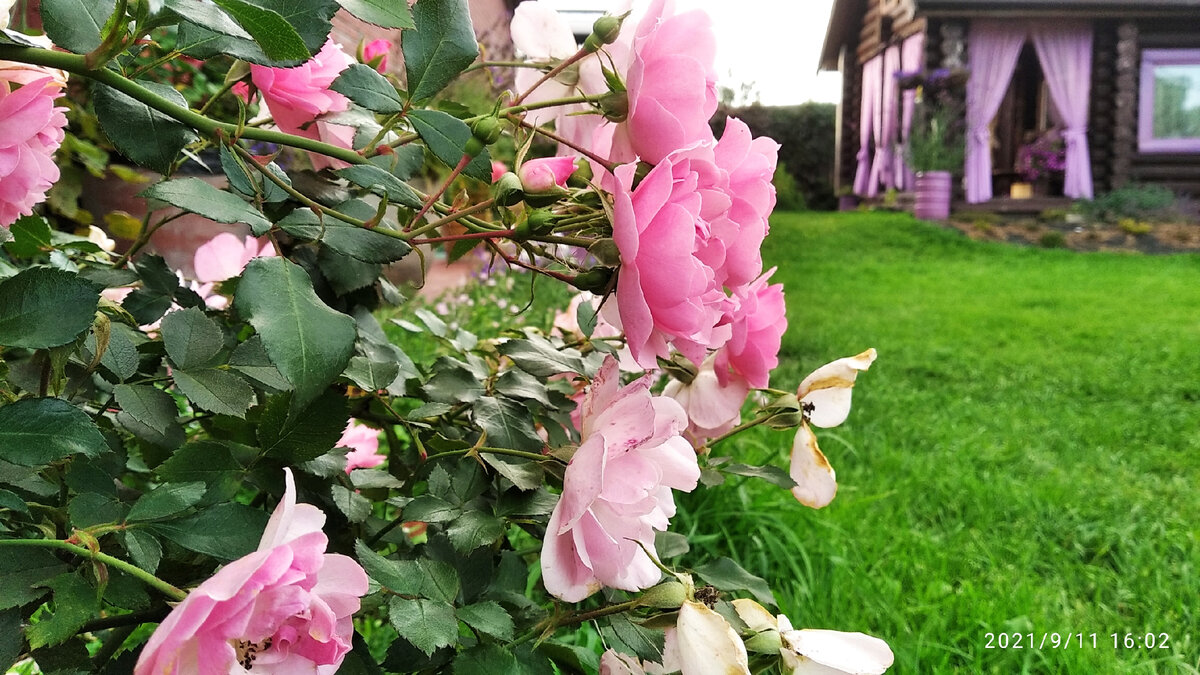 Реальность. Боника. Фото Загородные идеи.