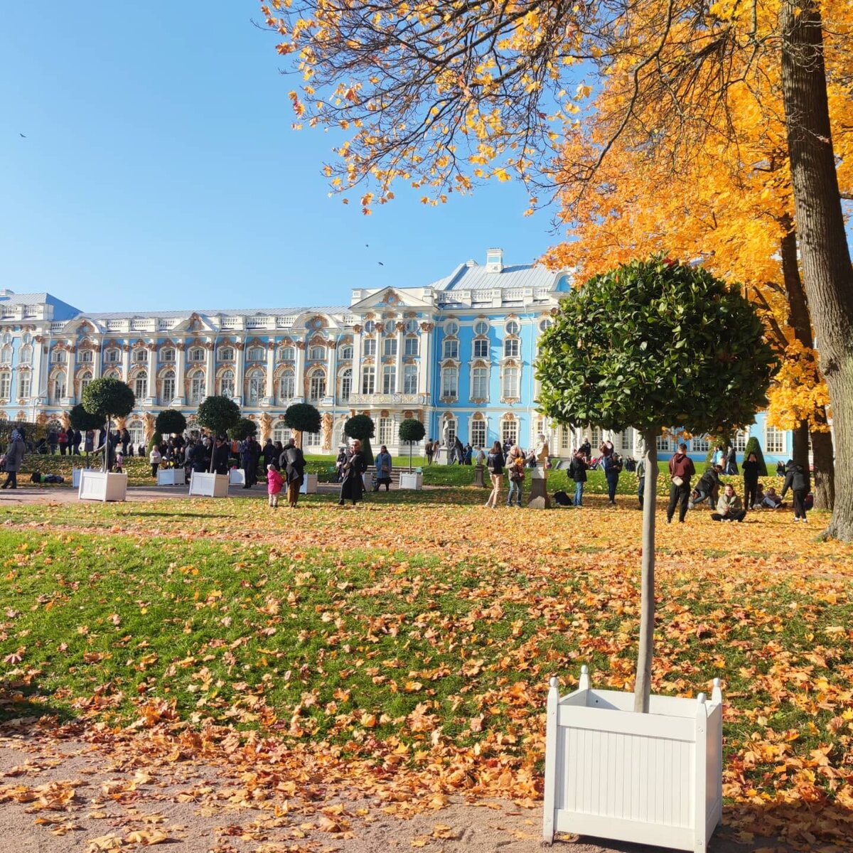 В парке города Пушкин