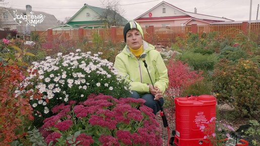 Чем опрыскивать плодовые кустарники и деревья от болезней перед зимой. Следующий год точно с урожаем.