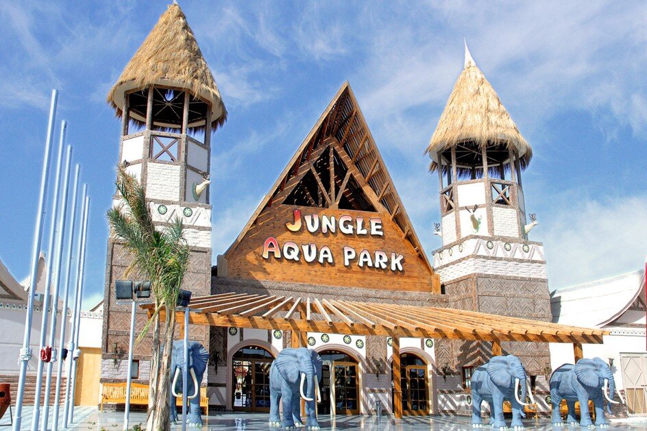 Фото из свободных источников