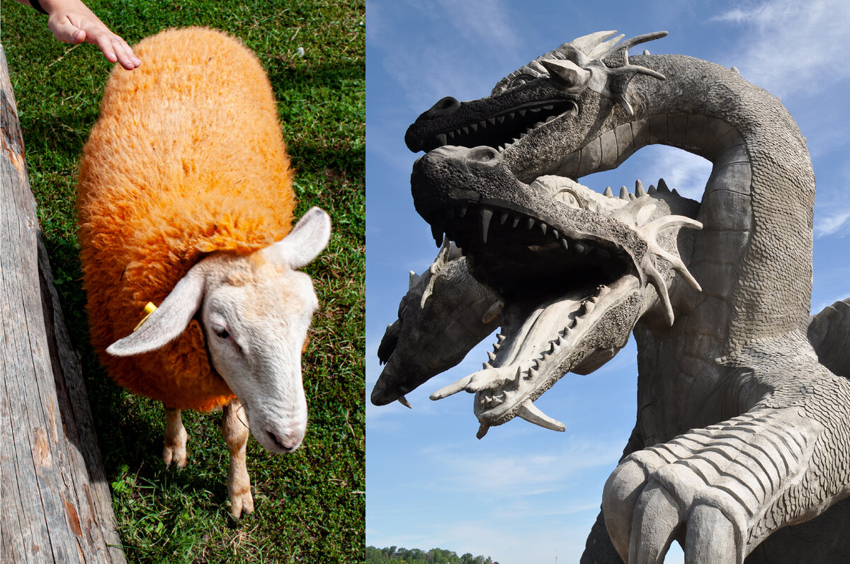 Фото из личного архива. Найдутся развлечения для всех.