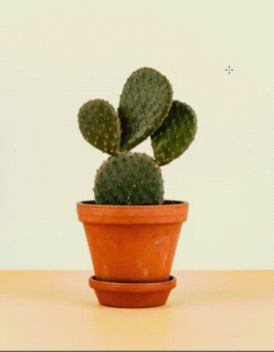 Вырежьте объект с однородного фона «Волшебным ластиком»