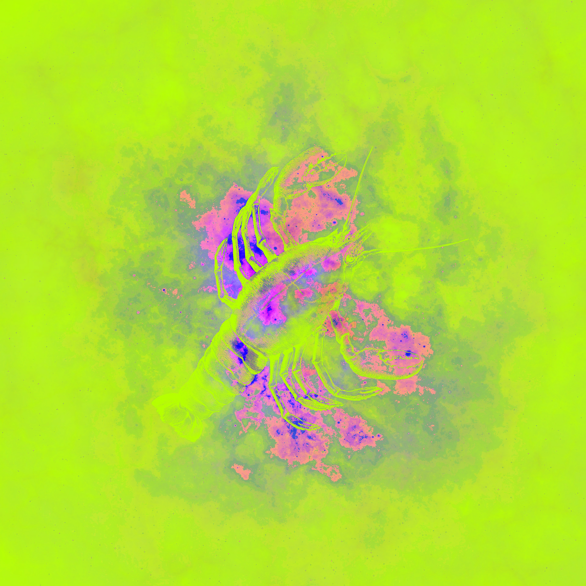 Астравидья дзен прогноз