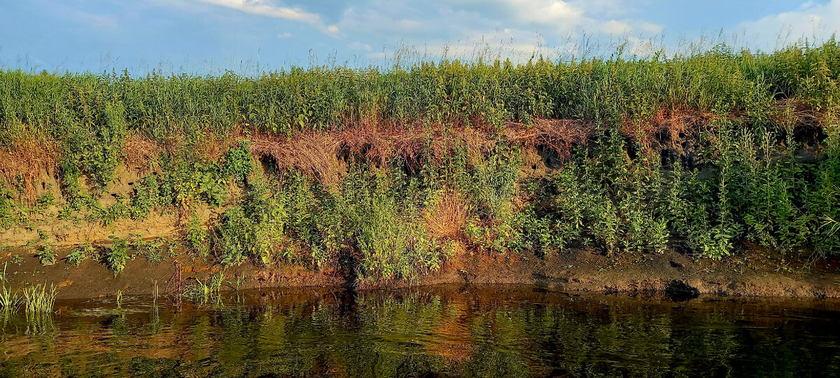 Фото автора канала