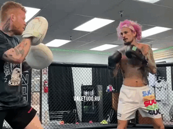 Шон О'Мэлли готовится к Яну