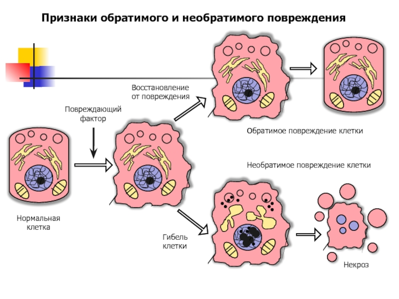 Причины повреждения