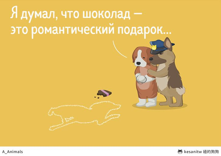 Автор: kesanitw