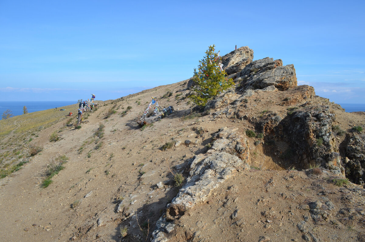 Стихийные тропы. Неорганизованные тропы.