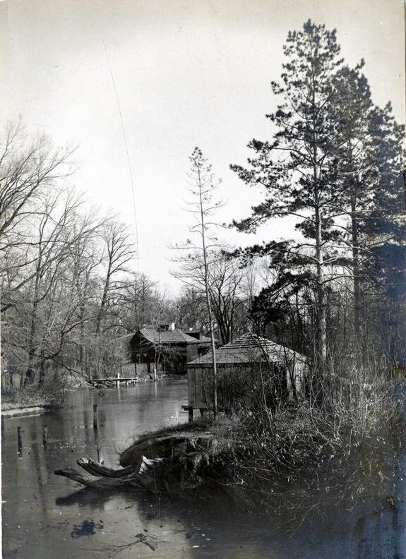 Пруд в Вакуровском парке. 1908 год.