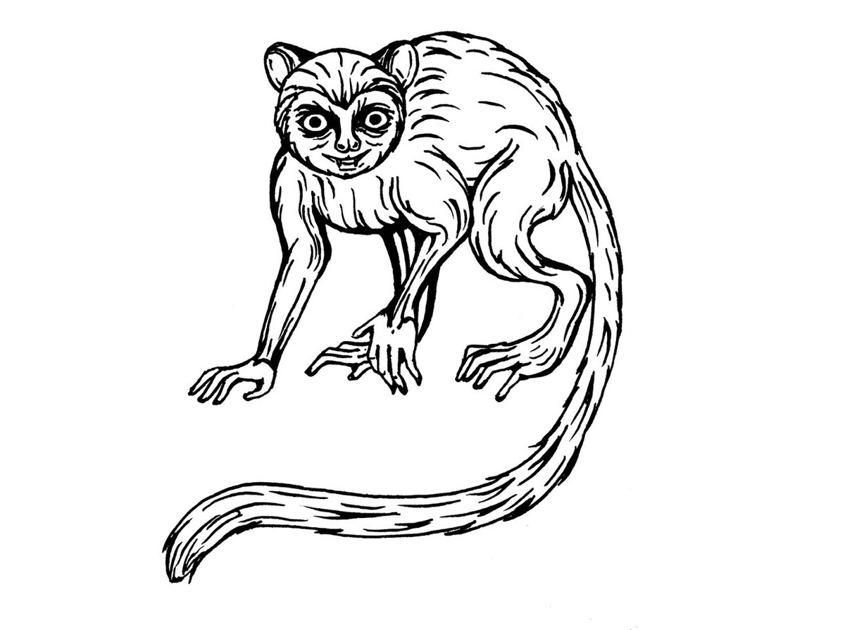 Тот самый «портрет за 5 минут» на набережной Питера: